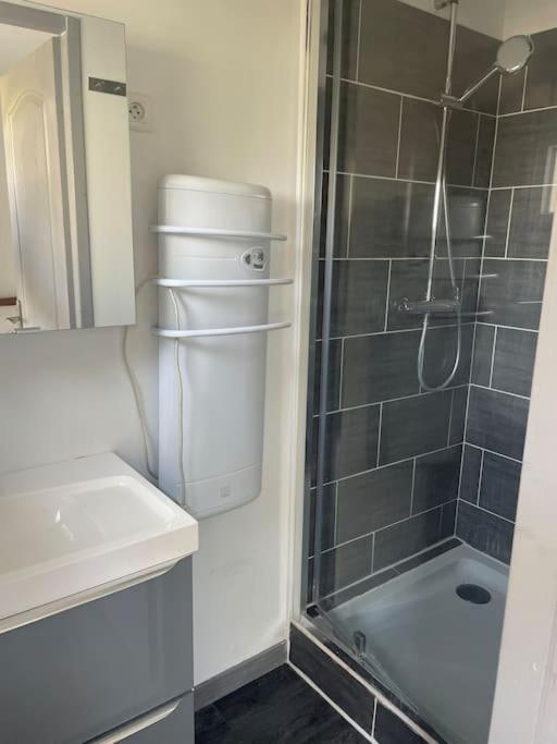 Charmant Appartement Avec Parking Privee Buxerolles 外观 照片